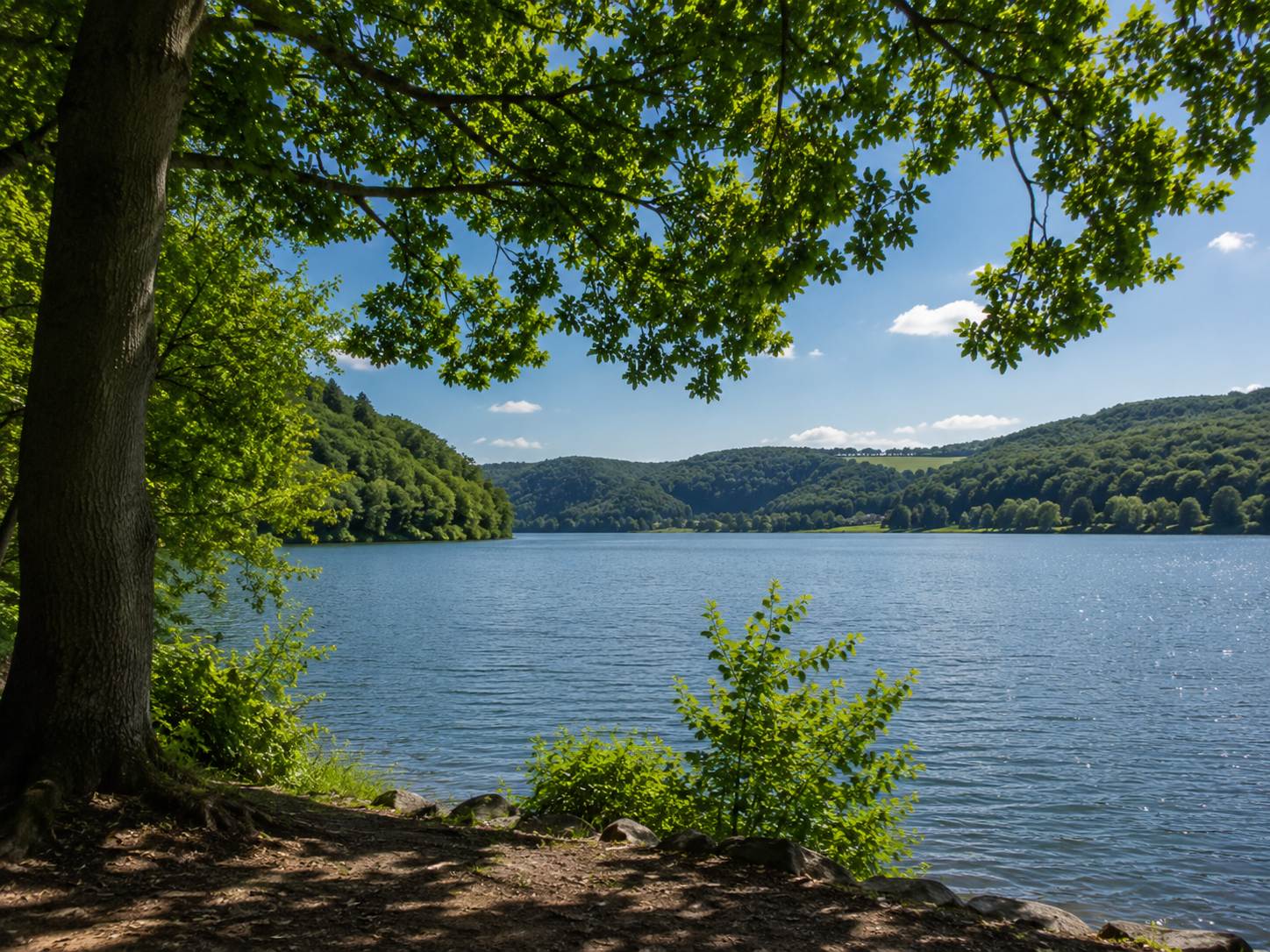 Blick auf den Hennesee